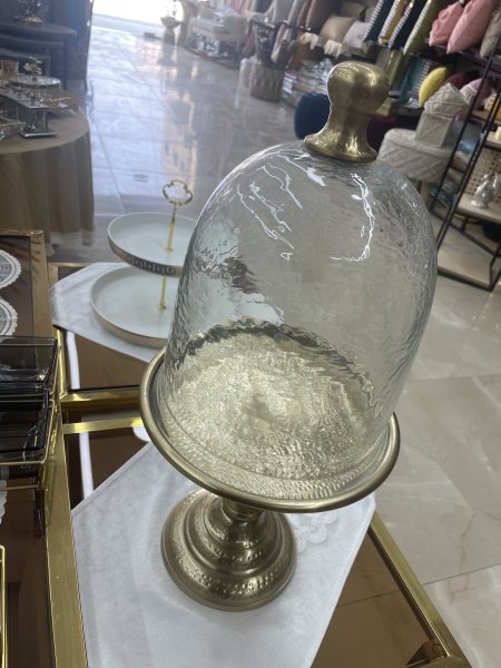 مضيفة كيك